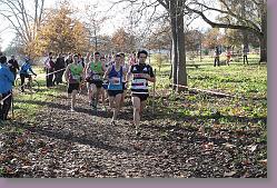 Begles 15.12.13 01 557 * 679 x 453 * (231KB)